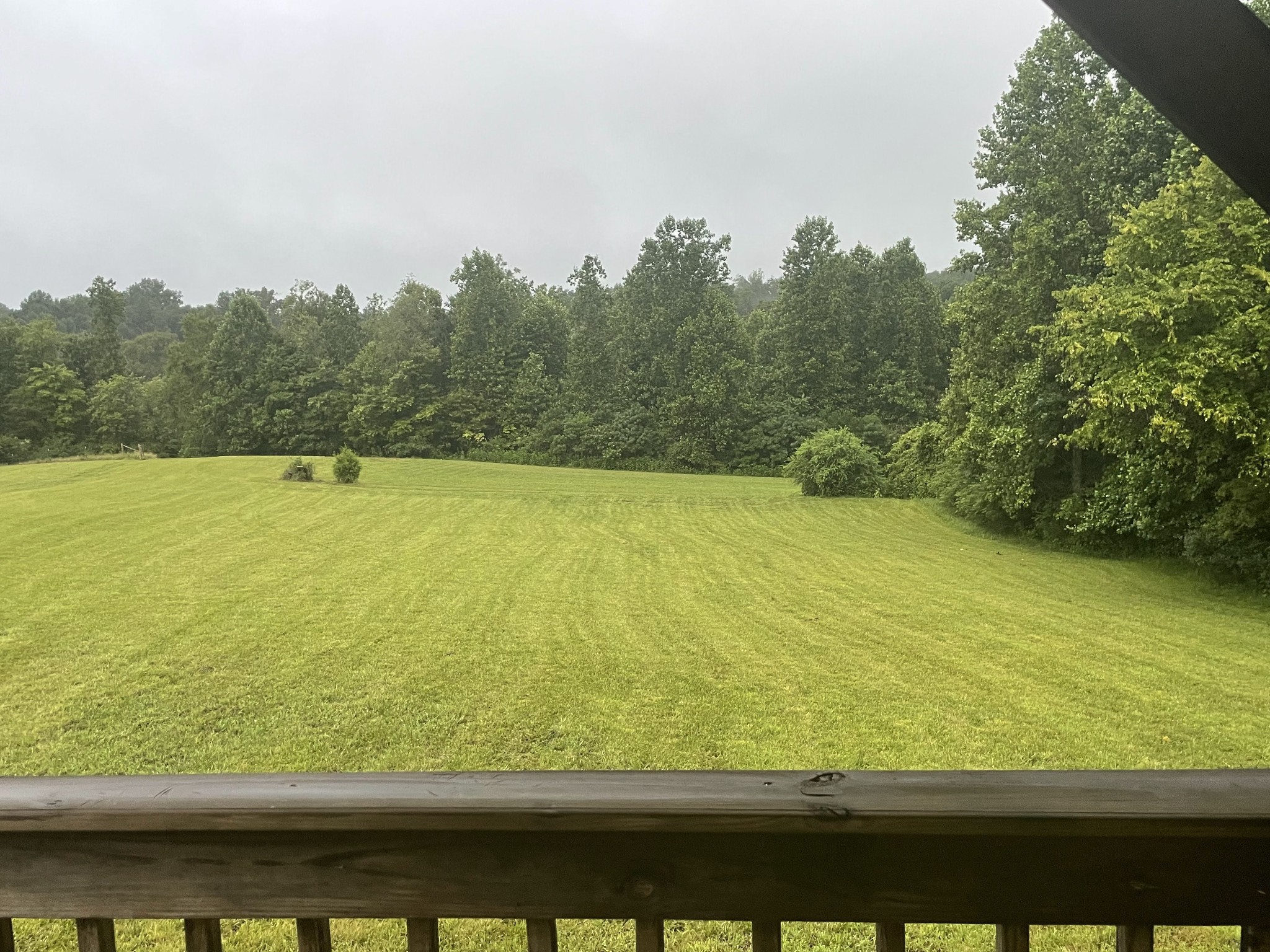1005 Birdwell Road Red Boiling Springs, TN 37150 - Photo 28 of 59 a view of an ocean from a balcony
