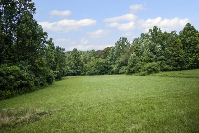 a view of outdoor space with a yard and trees in the background