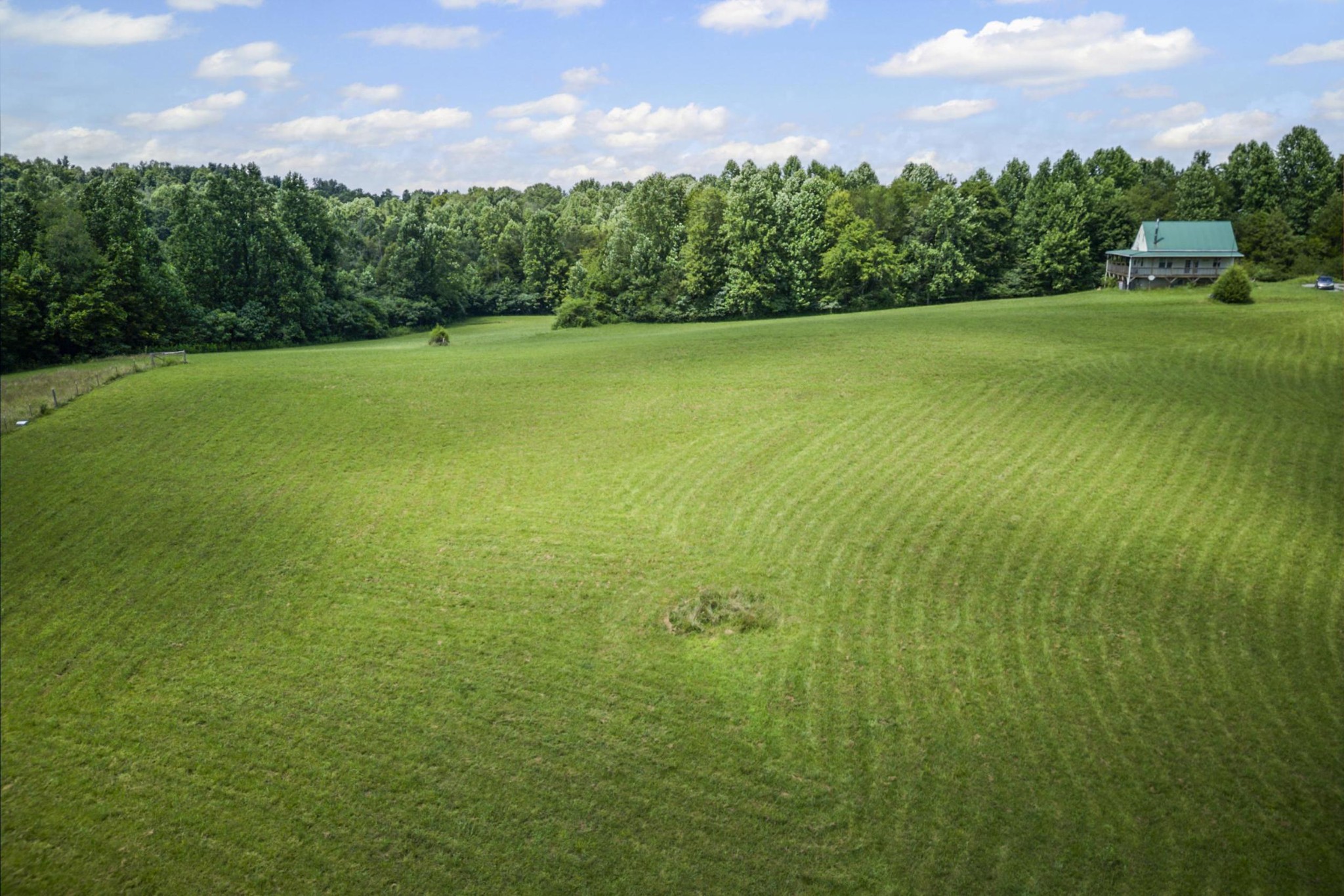1005 Birdwell Road Red Boiling Springs, TN 37150 - Photo 30 of 59 a view of a field with an trees in the background