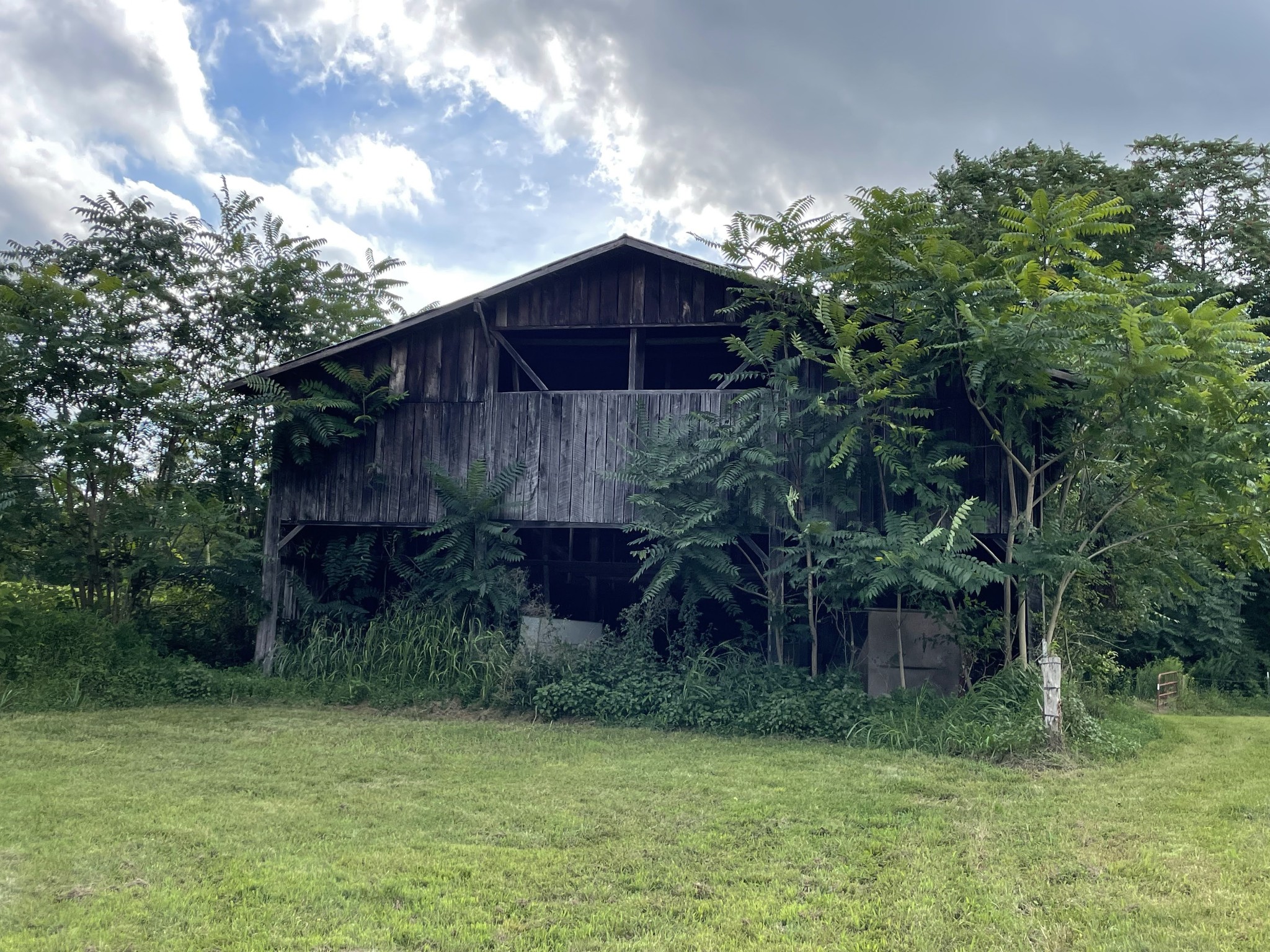 1005 Birdwell Road Red Boiling Springs, TN 37150 - Photo 31 of 59 a fire hydrant in front of a house with plants and large trees