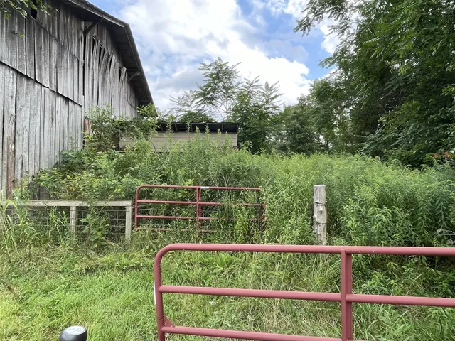 a view of a yard with a tree