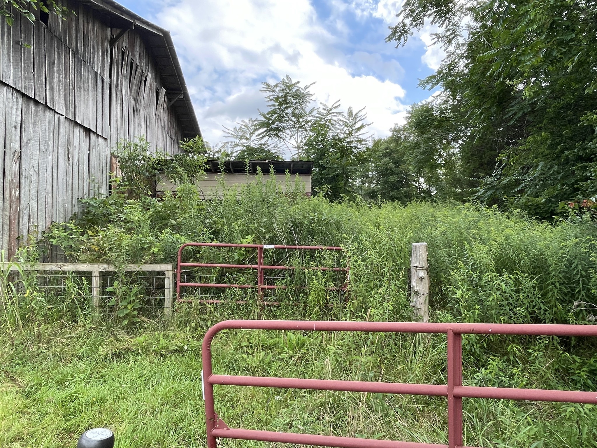1005 Birdwell Road Red Boiling Springs, TN 37150 - Photo 32 of 59 a view of a yard with a lake view