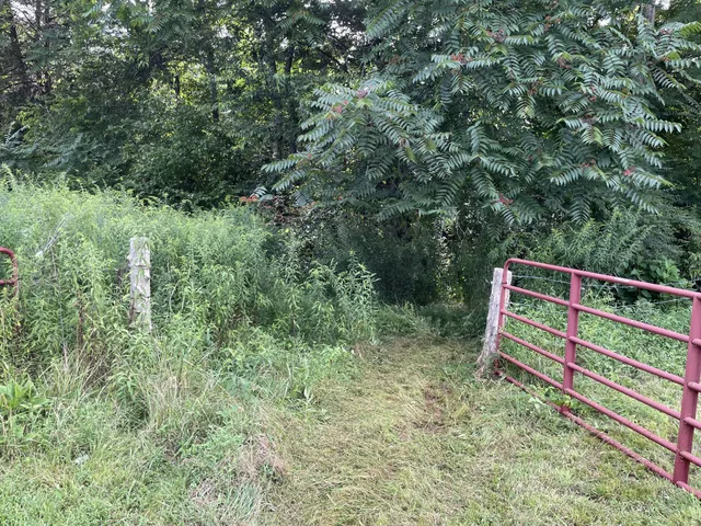 a view of a back yard