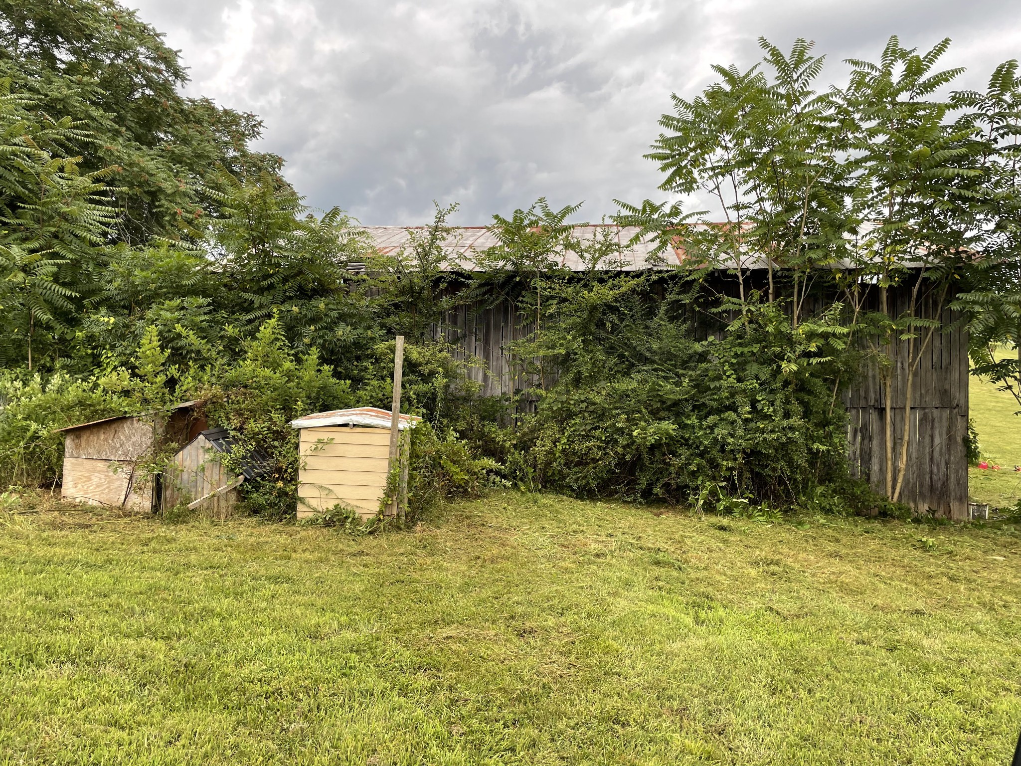 1005 Birdwell Road Red Boiling Springs, TN 37150 - Photo 35 of 59 a view of a yard
