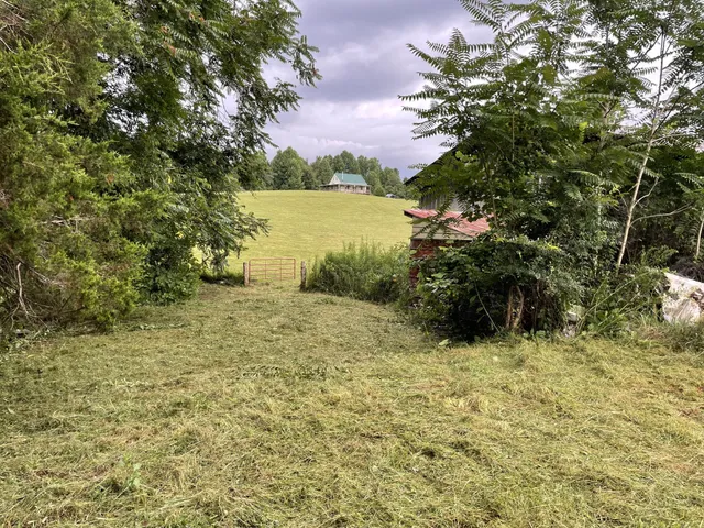 a view of a green yard with a lake