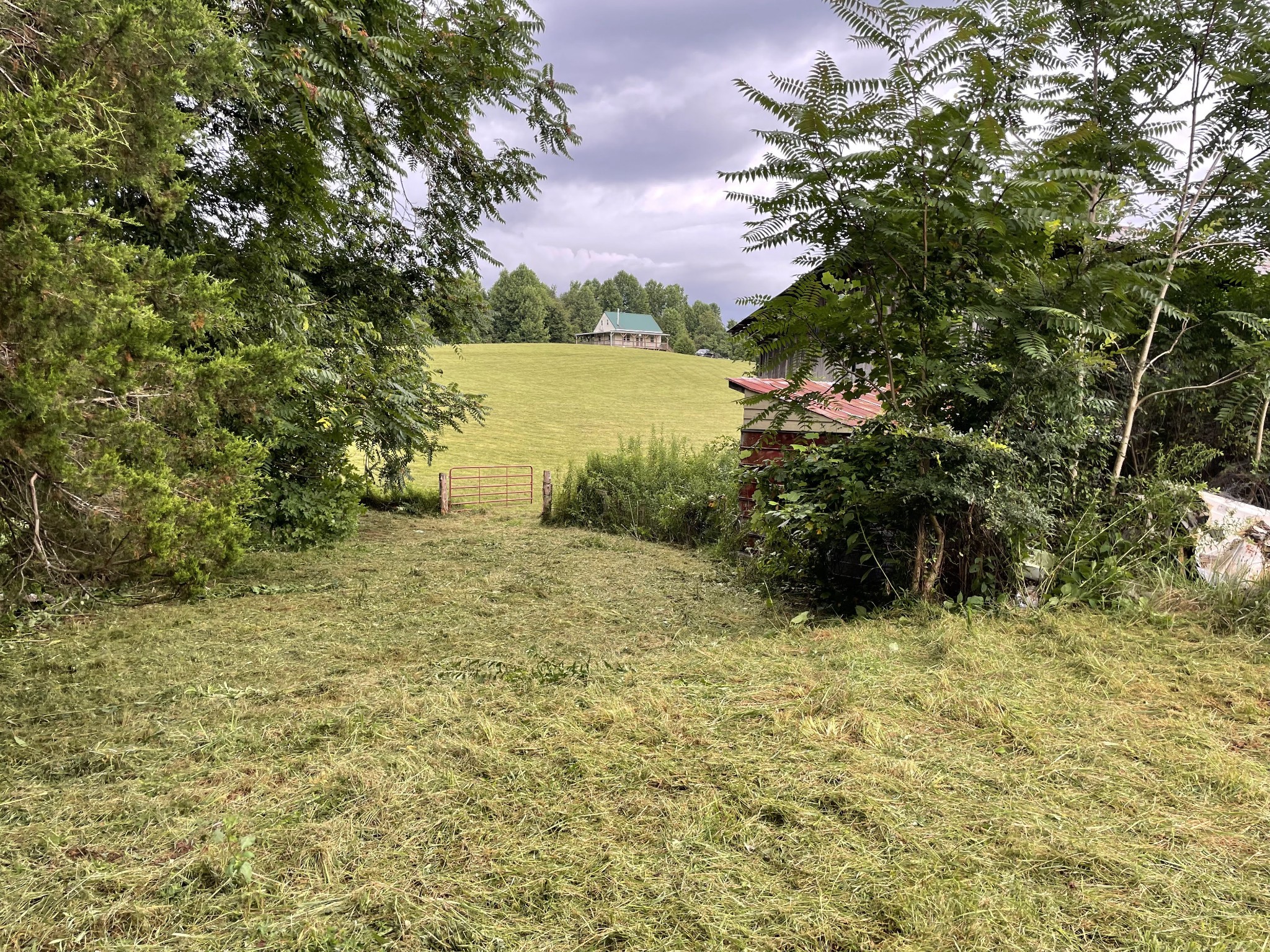 1005 Birdwell Road Red Boiling Springs, TN 37150 - Photo 36 of 59 a view of lake with green space