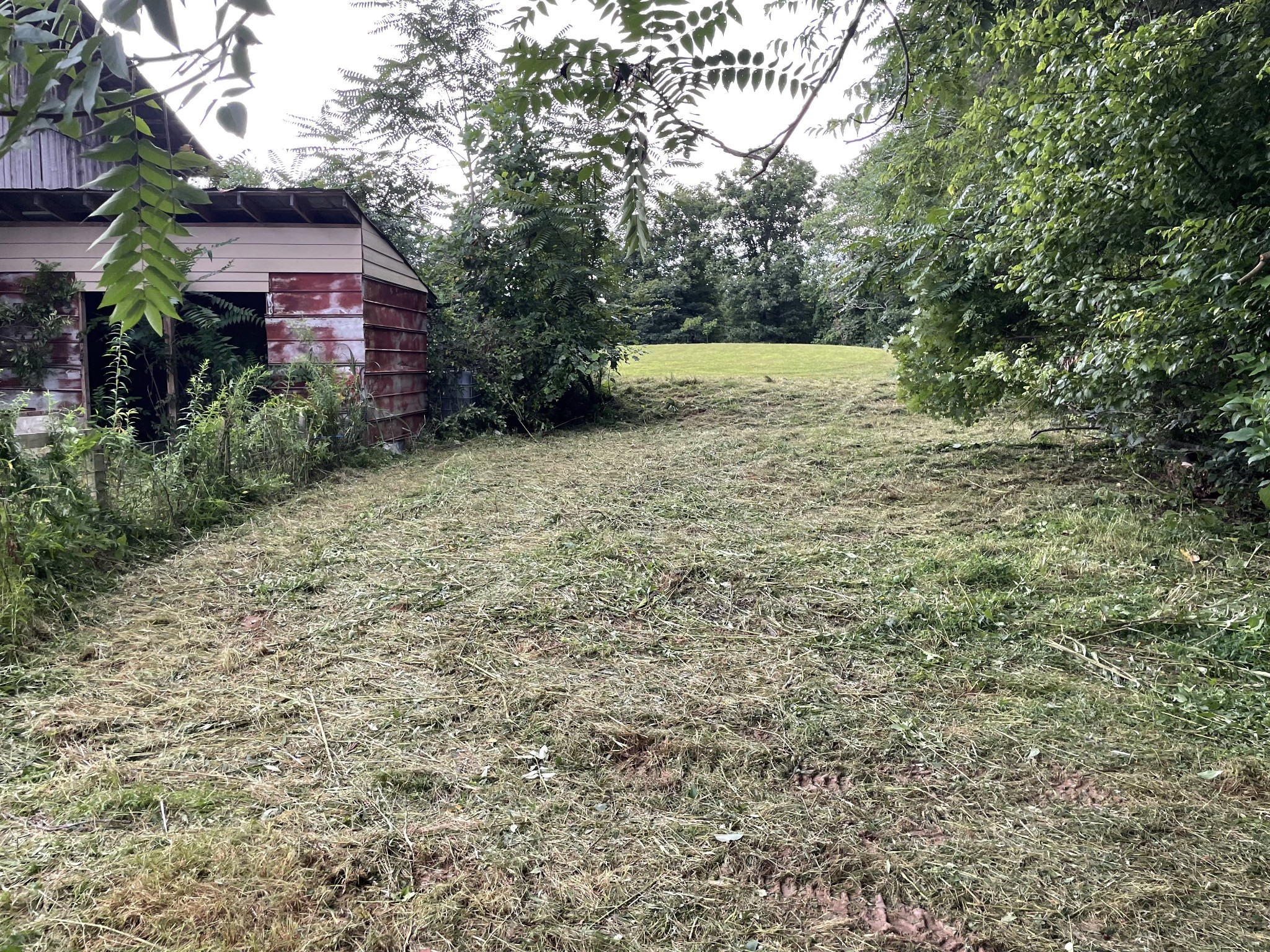 1005 Birdwell Road Red Boiling Springs, TN 37150 - Photo 37 of 59 a view of a yard in front of a house