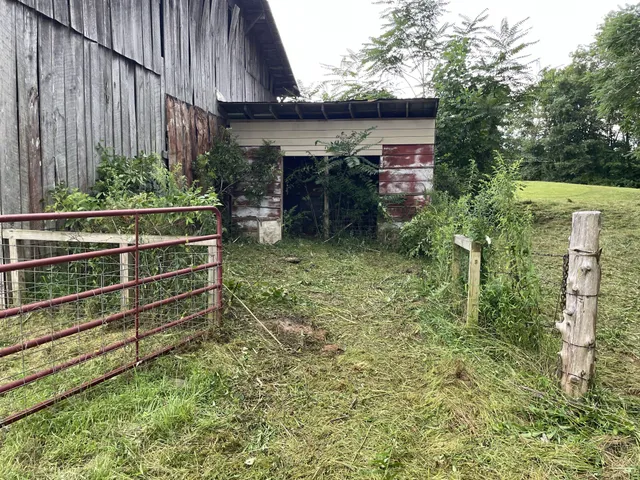 a view of a field with an ocean view