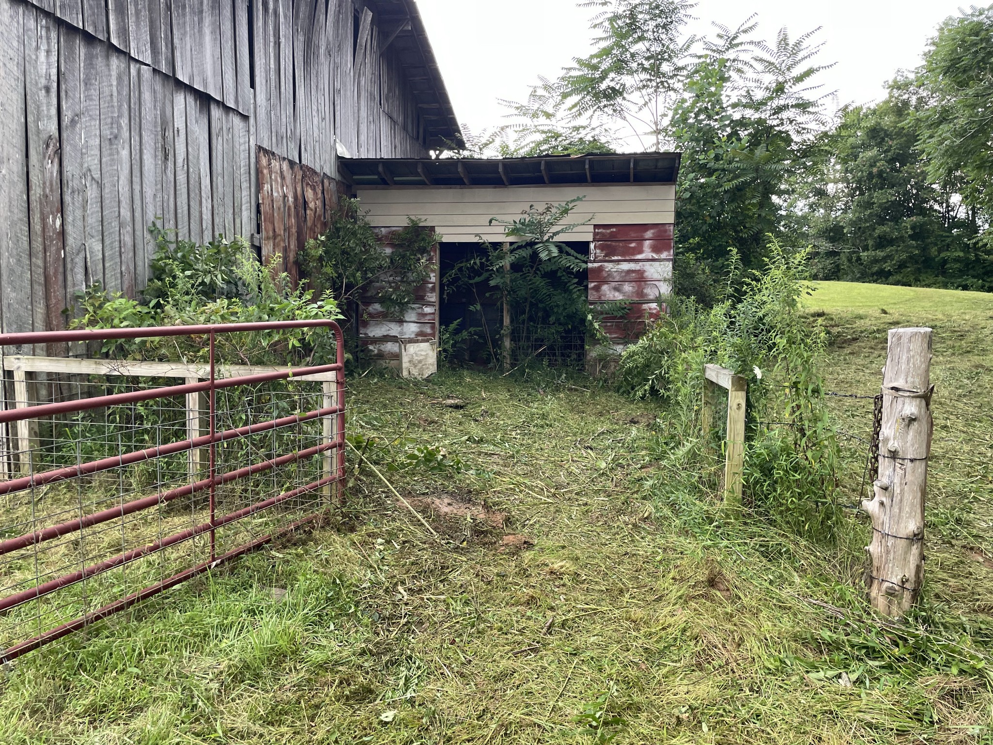 1005 Birdwell Road Red Boiling Springs, TN 37150 - Photo 38 of 59