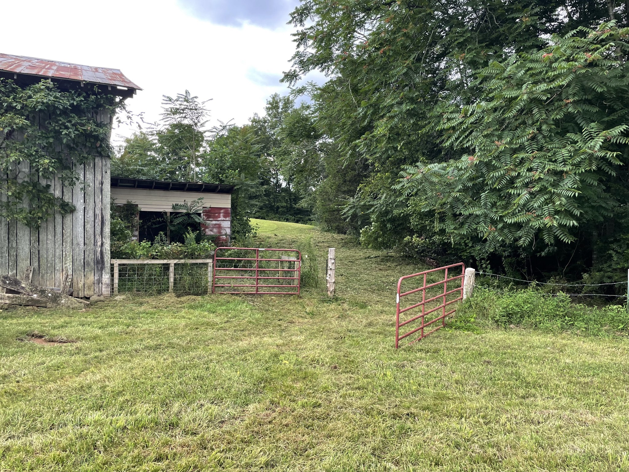 1005 Birdwell Road Red Boiling Springs, TN 37150 - Photo 39 of 59
