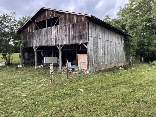 a view of a dry yard