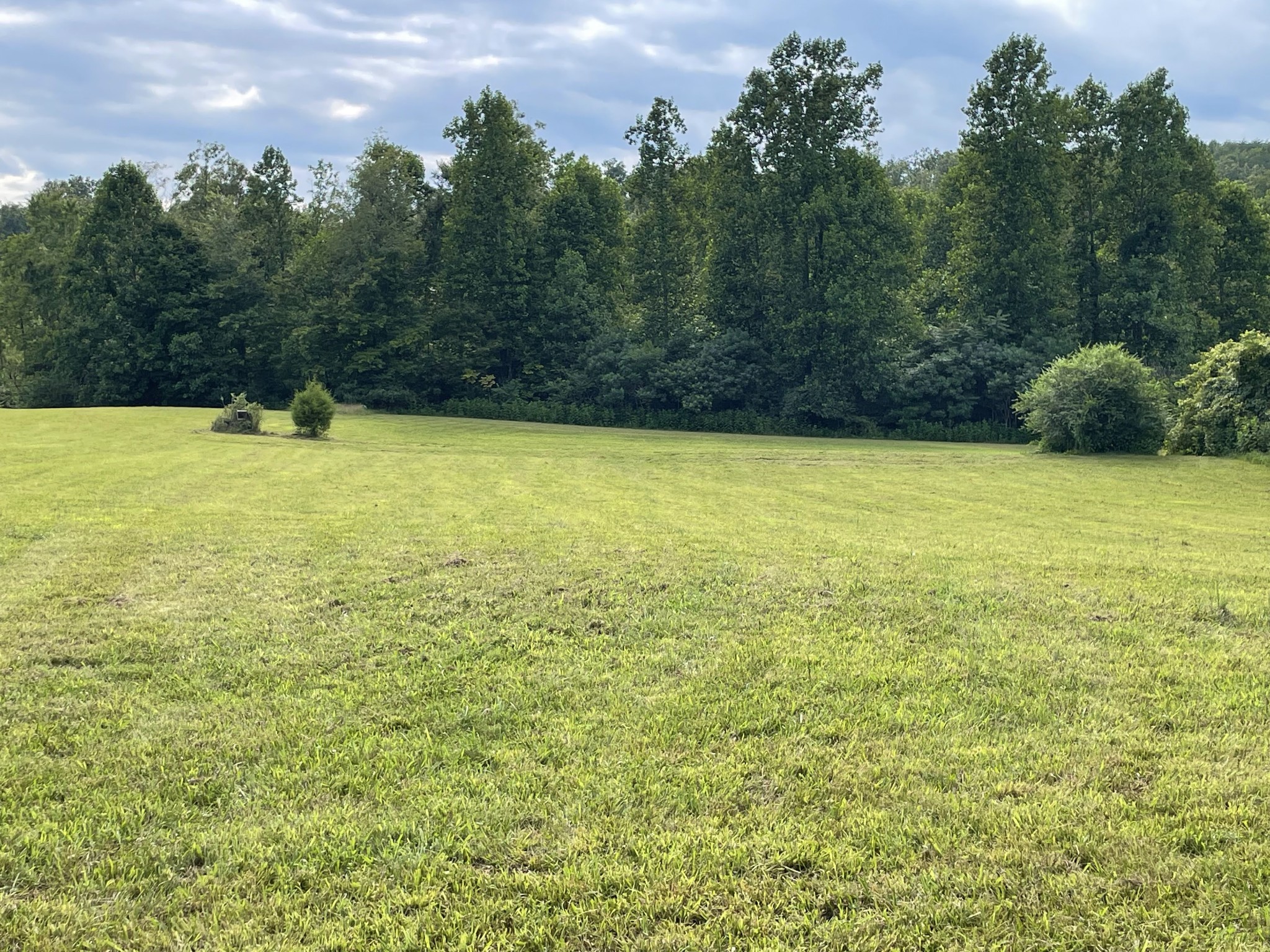 1005 Birdwell Road Red Boiling Springs, TN 37150 - Photo 44 of 59