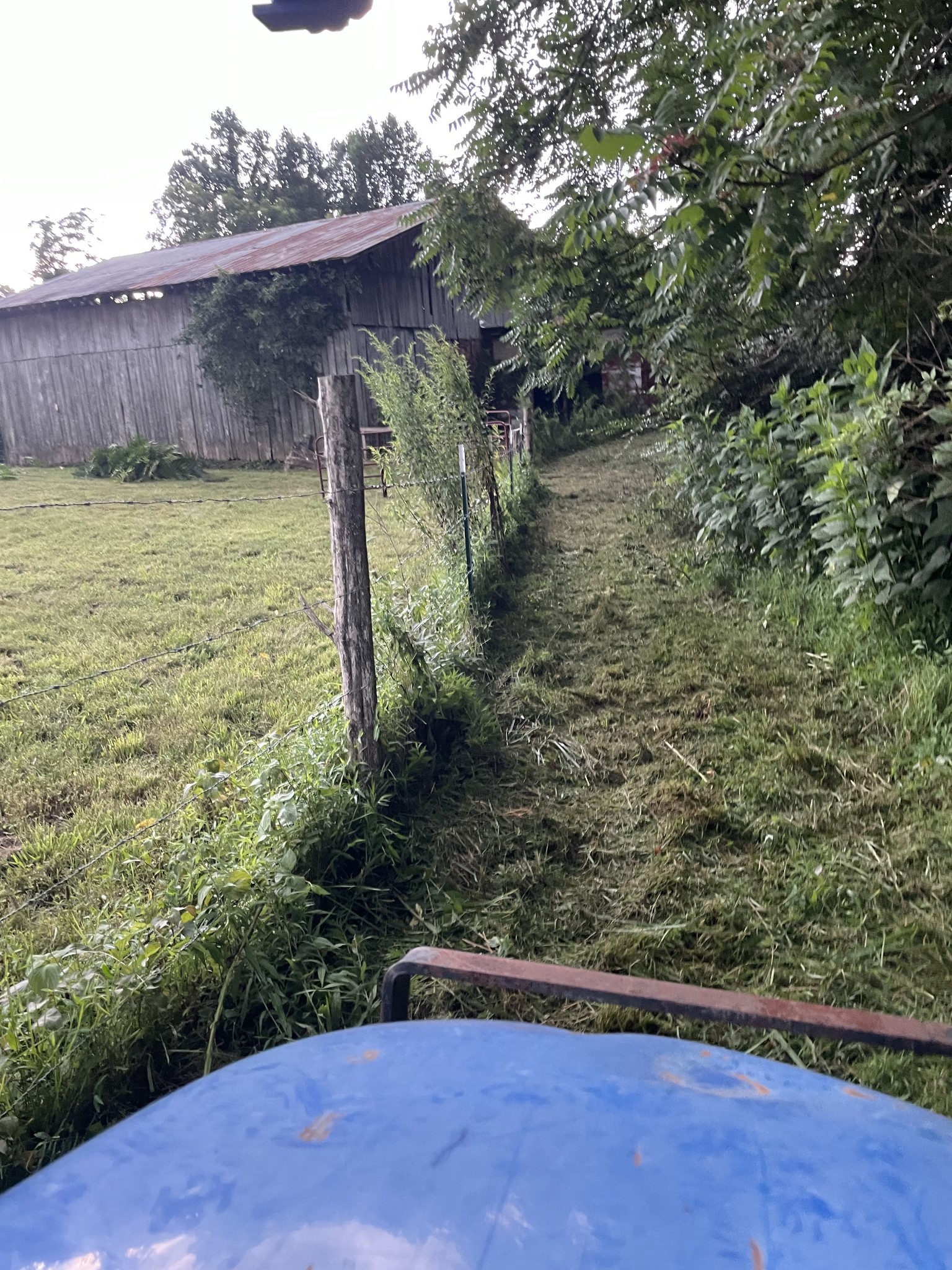 1005 Birdwell Road Red Boiling Springs, TN 37150 - Photo 49 of 59 a view of a back yard