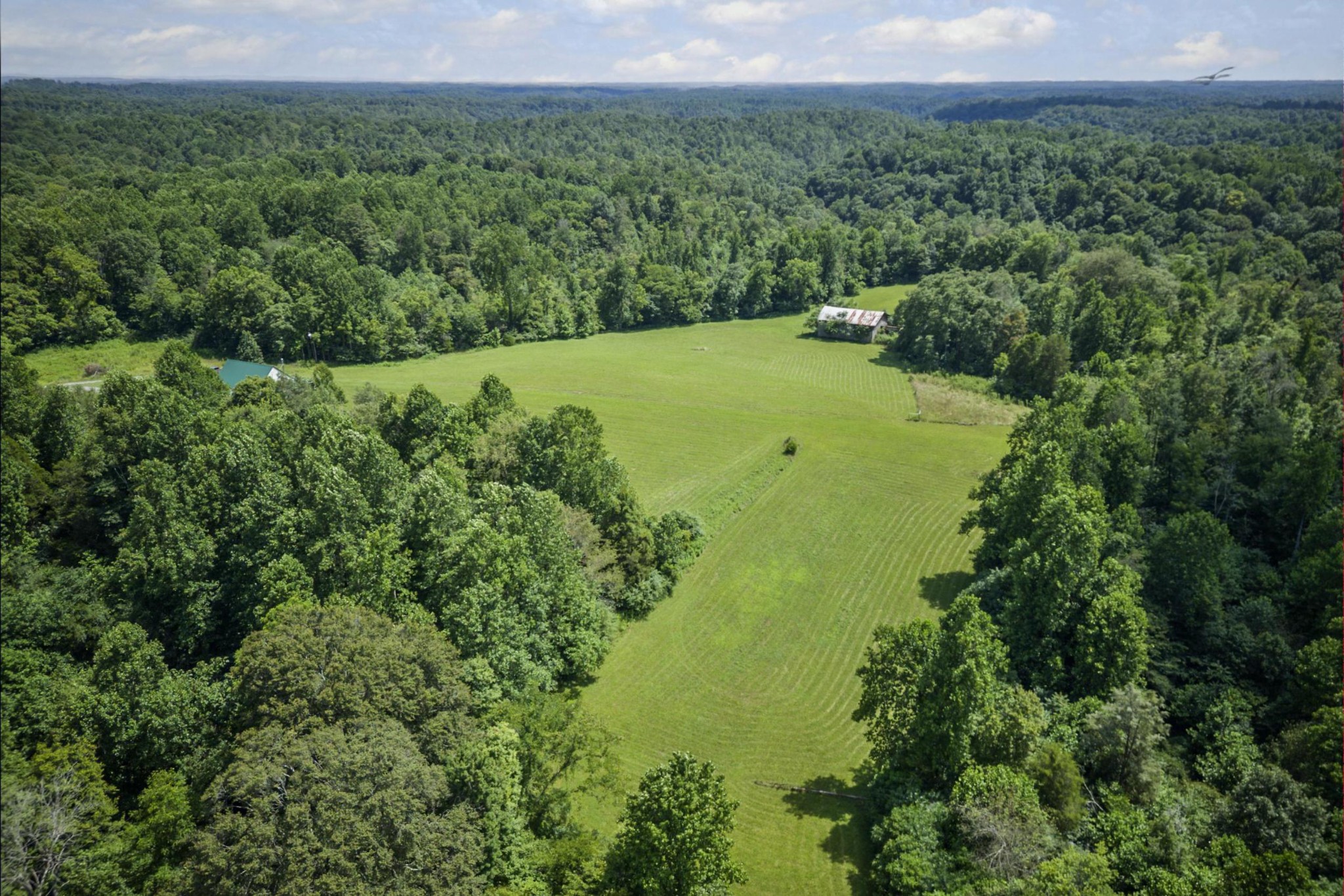 1005 Birdwell Road Red Boiling Springs, TN 37150 - Photo 50 of 59 a view of a green field with lots of bushes