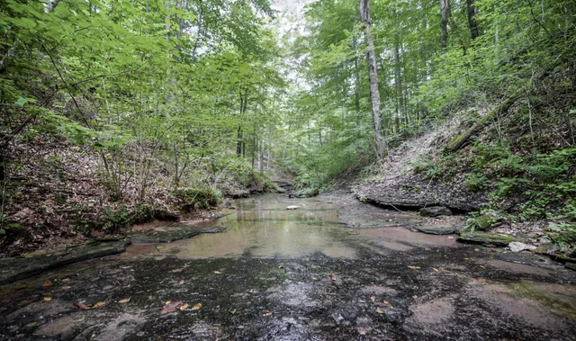 a view of a balcony with wooden floor