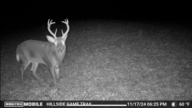 $499,000 | 1005 Birdwell Road, Red Boiling Springs, TN 37150