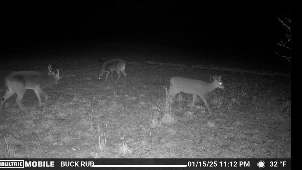 1005 Birdwell Road Red Boiling Springs, TN 37150 - Photo 56 of 59