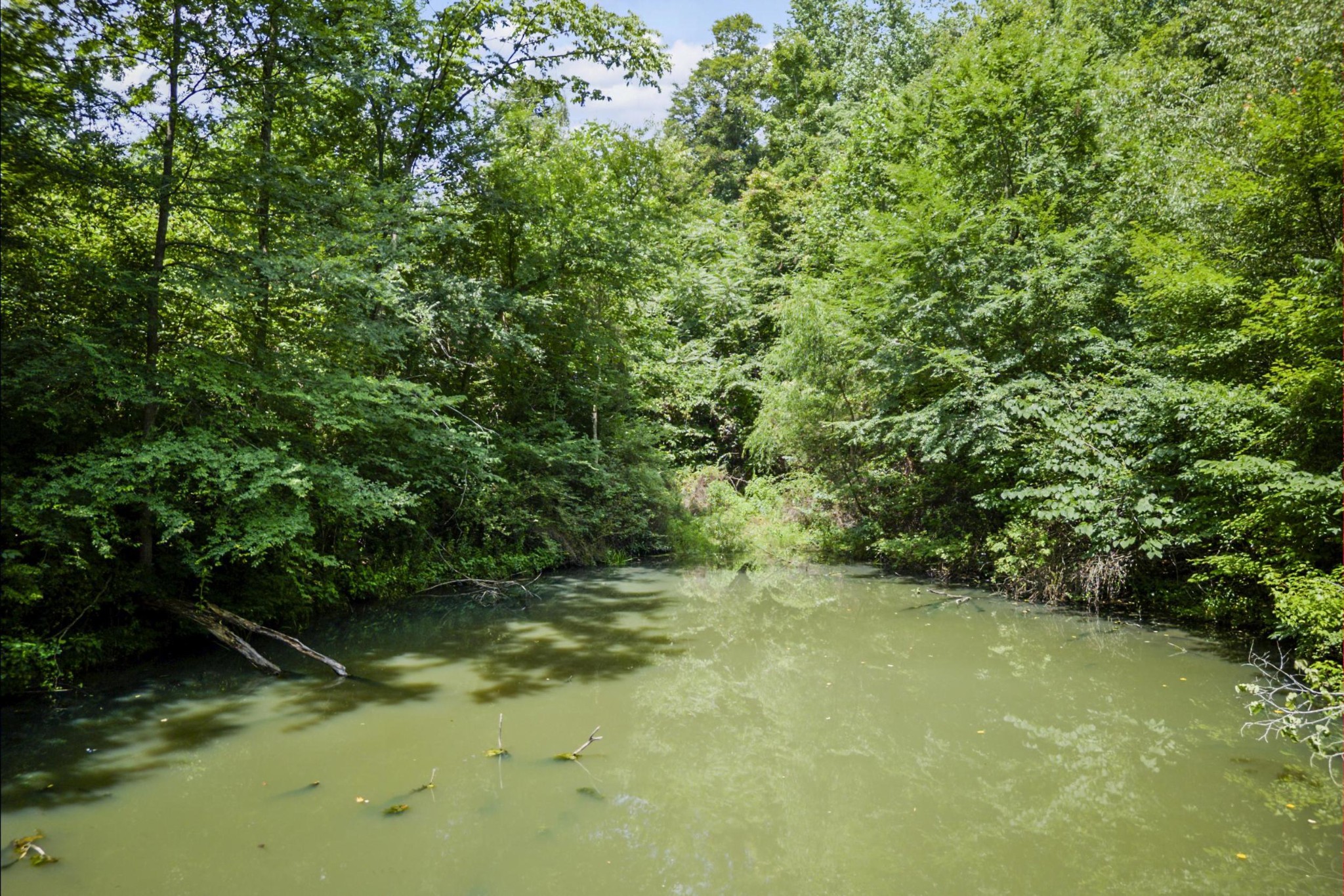 1005 Birdwell Road Red Boiling Springs, TN 37150 - Photo 8 of 59