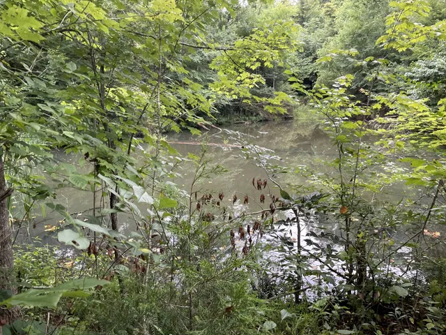 a kitchen with a sink a refrigerator and a stove
