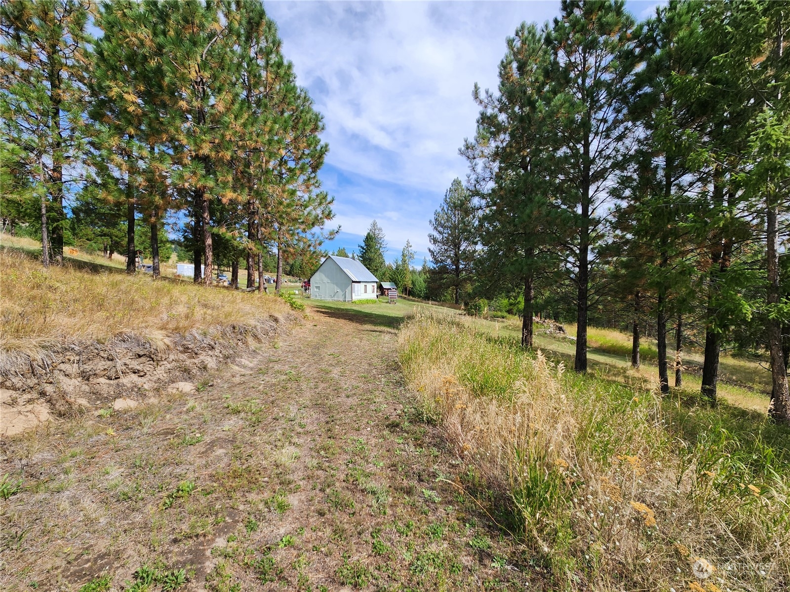 76 Valley High Road Malo, WA 99150 - Photo 1 of 32 Gallery Image 1