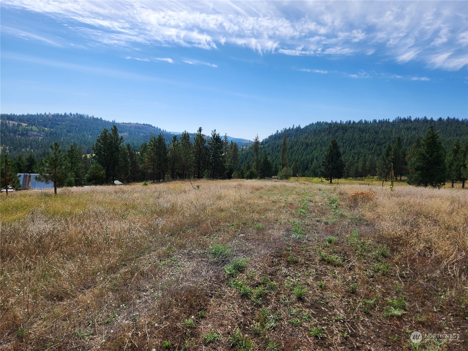76 Valley High Road Malo, WA 99150 - Photo 11 of 32 Gallery Image 11