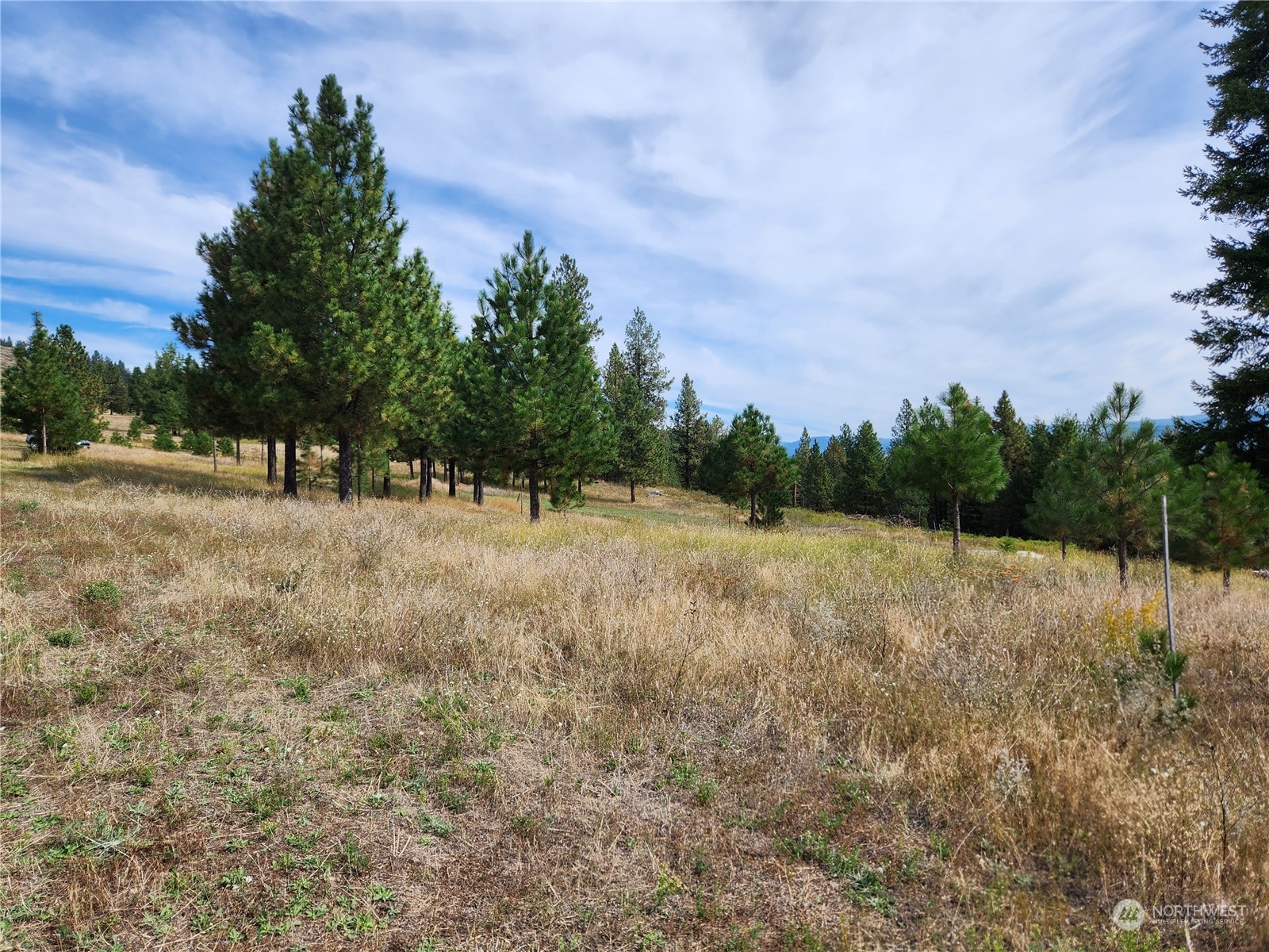 76 Valley High Road Malo, WA 99150 - Photo 12 of 32 Gallery Image 12