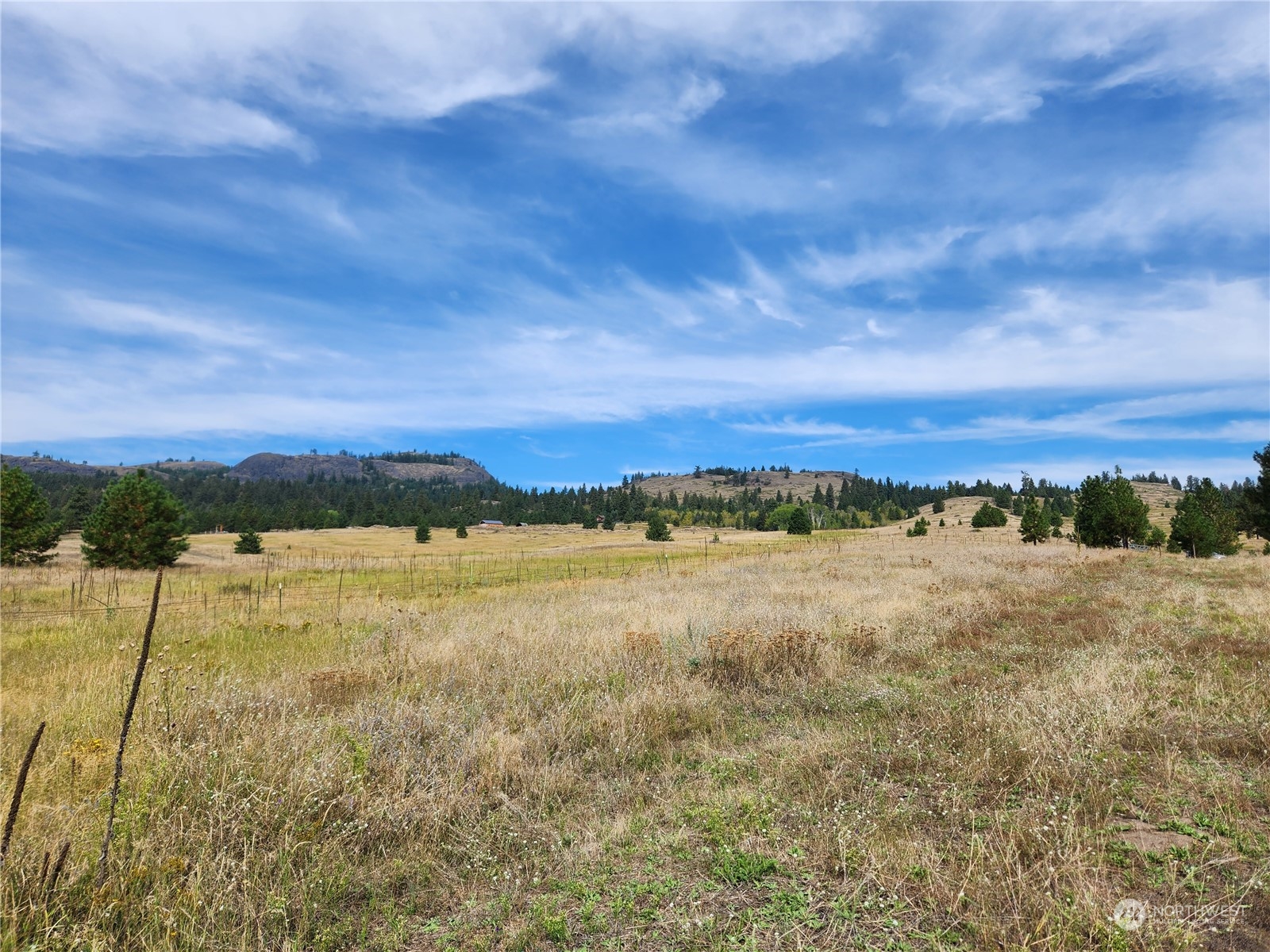 76 Valley High Road Malo, WA 99150 - Photo 13 of 32 Gallery Image 13