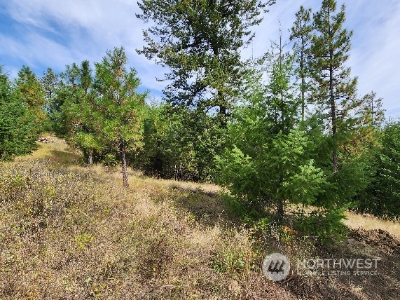 76 Valley High Road Malo, WA 99150 - Photo 17 of 32 Gallery Image 17