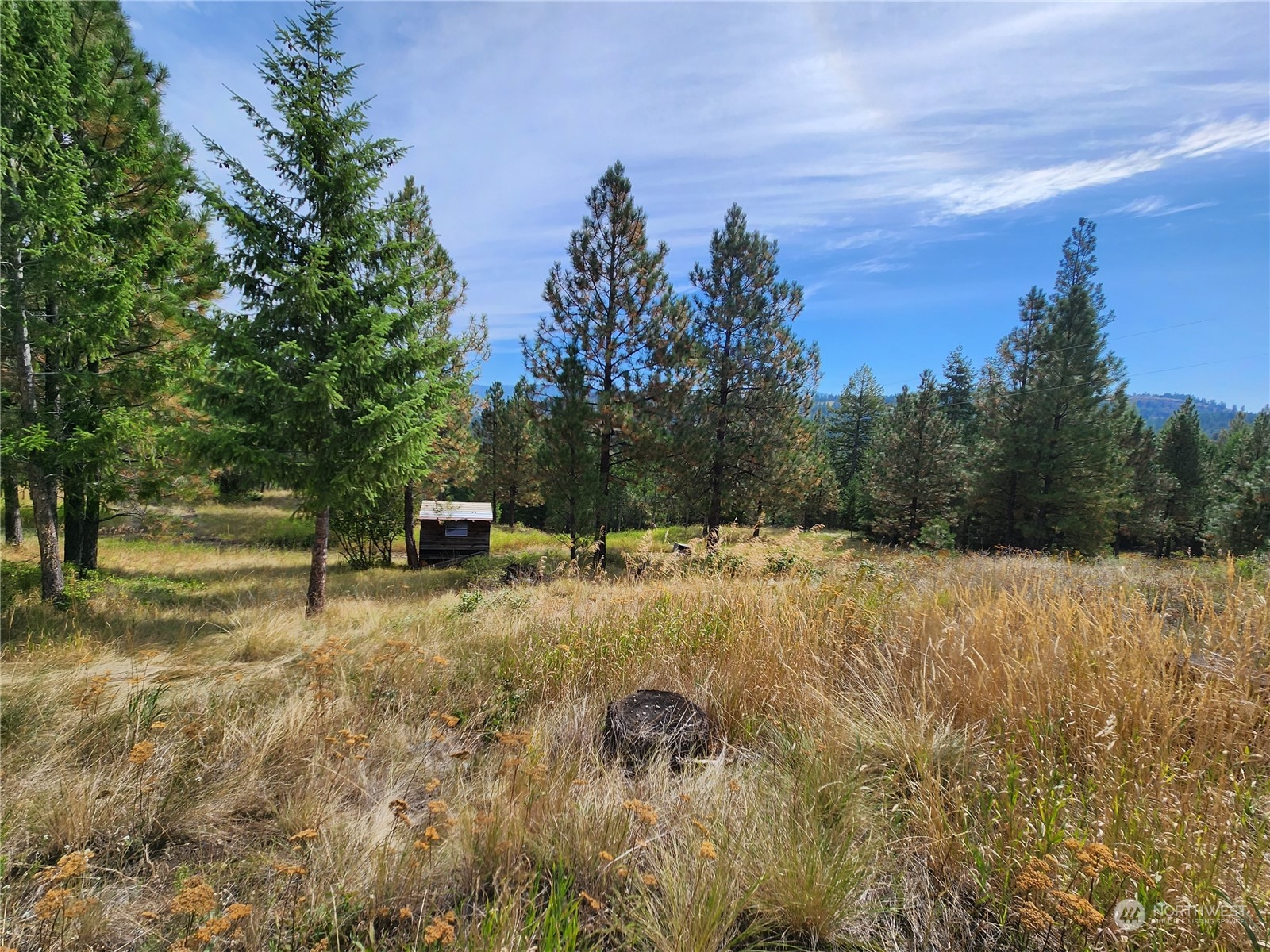 76 Valley High Road Malo, WA 99150 - Photo 24 of 32 Gallery Image 24
