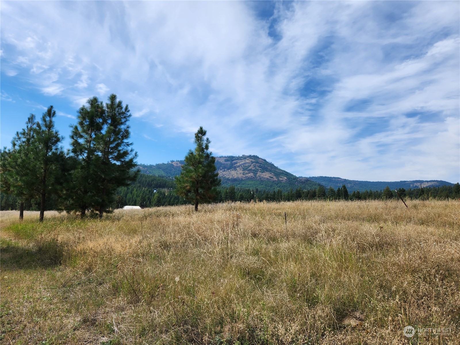 76 Valley High Road Malo, WA 99150 - Photo 7 of 32 Gallery Image 7