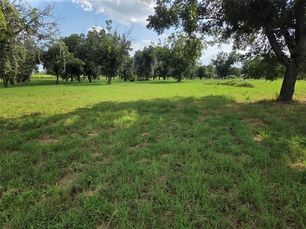 10005 Orchards Boulevard Cleburne, TX 76033 - Photo 1 of 25 a view of a lush green space