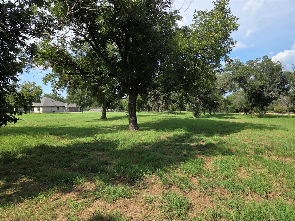 10005 Orchards Boulevard Cleburne, TX 76033 - Photo 3 of 25 a view of grassy field with benches and trees all around