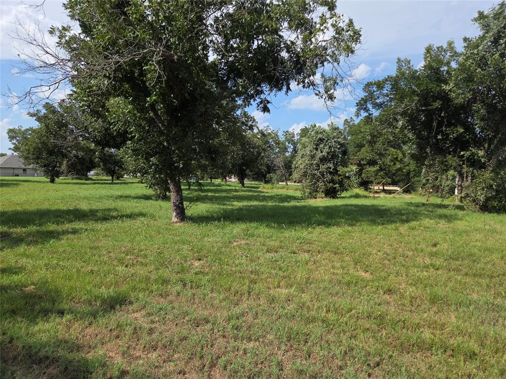10005 Orchards Boulevard Cleburne, TX 76033 - Photo 4 of 25 a view of a park with large trees