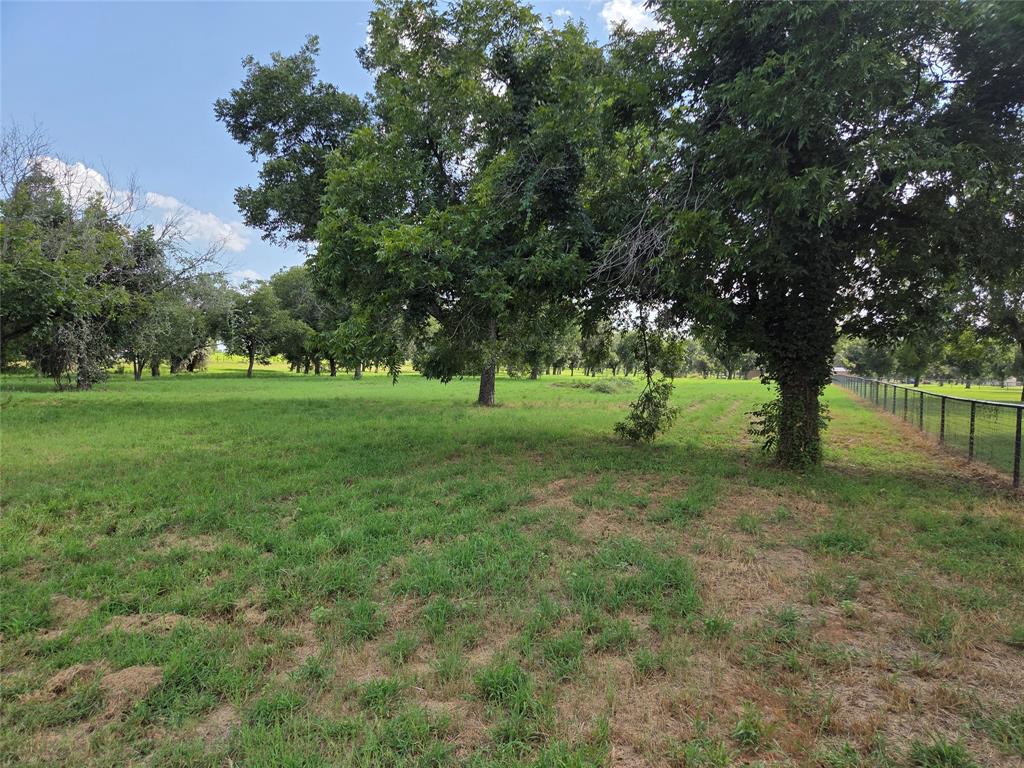 10005 Orchards Boulevard Cleburne, TX 76033 - Photo 7 of 25 a view of a tree in a field