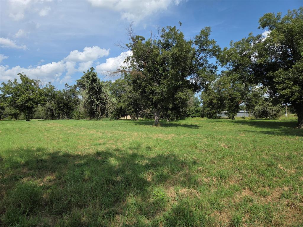 10005 Orchards Boulevard Cleburne, TX 76033 - Photo 8 of 25 a view of outdoor space with green field and trees