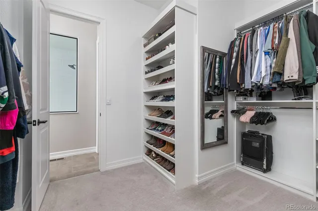 a view of a backyard with plants and large tree