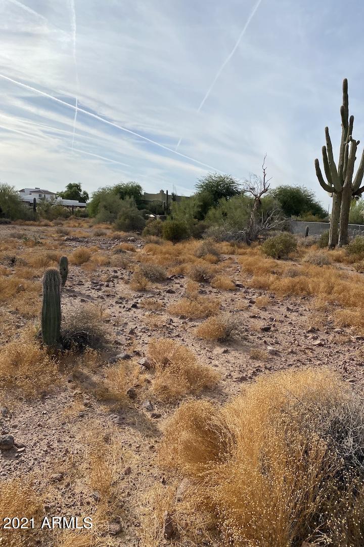 325 South Sunset Road Apache Junction, AZ 85119 - Photo 7 of 9 IMG_2841