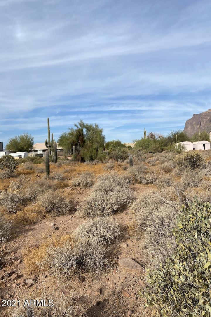 325 South Sunset Road Apache Junction, AZ 85119 - Photo 9 of 9 IMG_2834