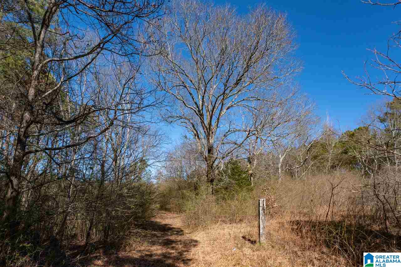 539 Jim Bagwell Road Empire, AL 35063 - Photo 34 of 35 Gallery Image 34