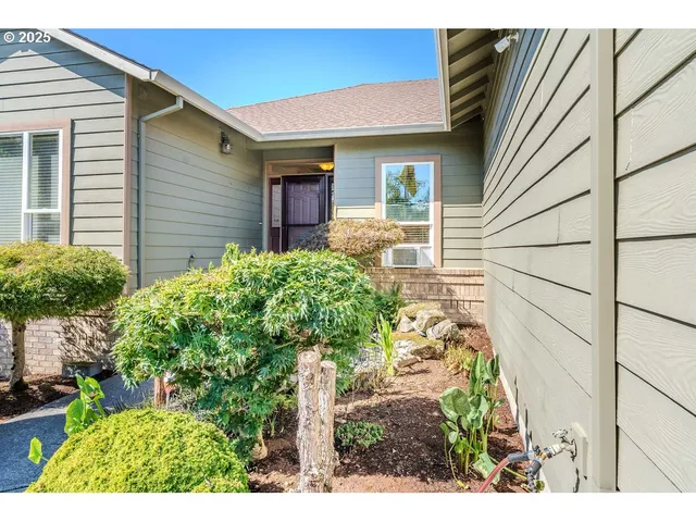 a view of a backyard with plants