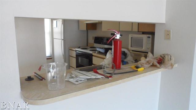 700 North Adelaide Street, Unit 102 Normal, IL 61761 - Photo 7 of 10