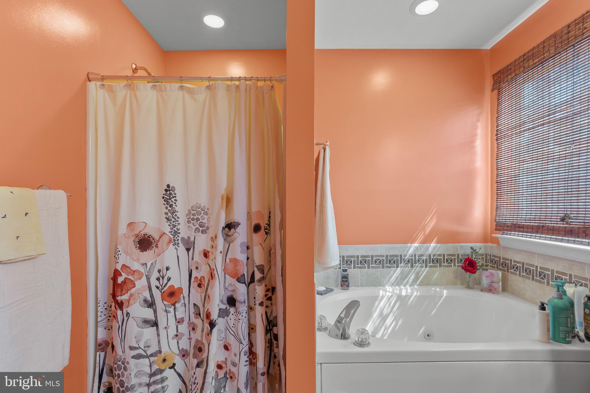 43954 Main Way Road Leonardtown, MD 20650 - Photo 14 of 28 Master Bathroom