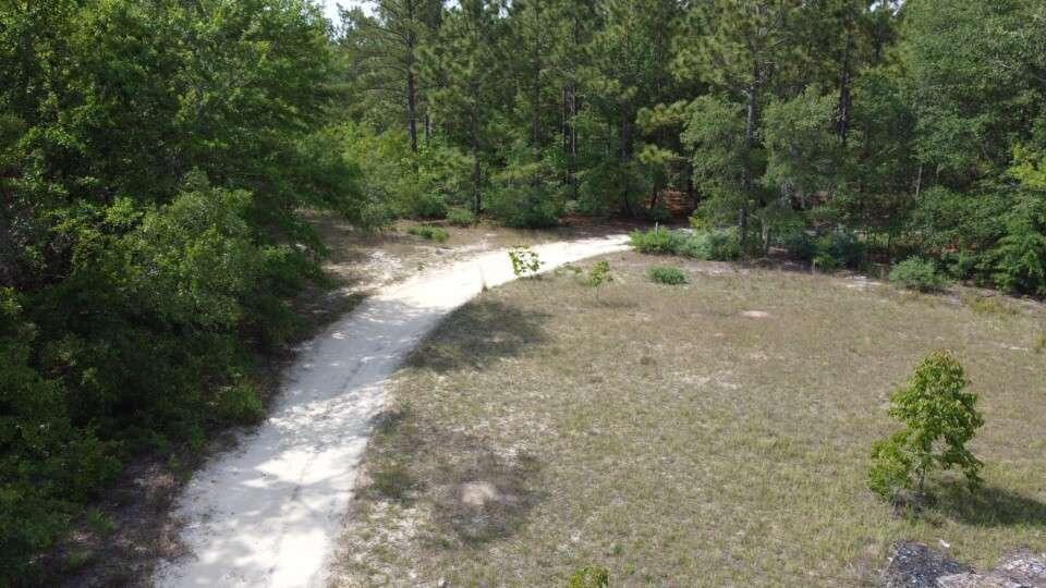 1327 Charlies Loop Williston, SC 29853 - Photo 4 of 6