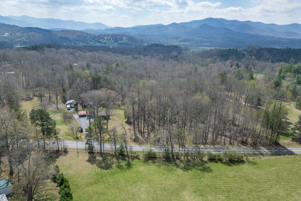 1266 Ford Road Warne, NC 28909 - Photo 55 of 62