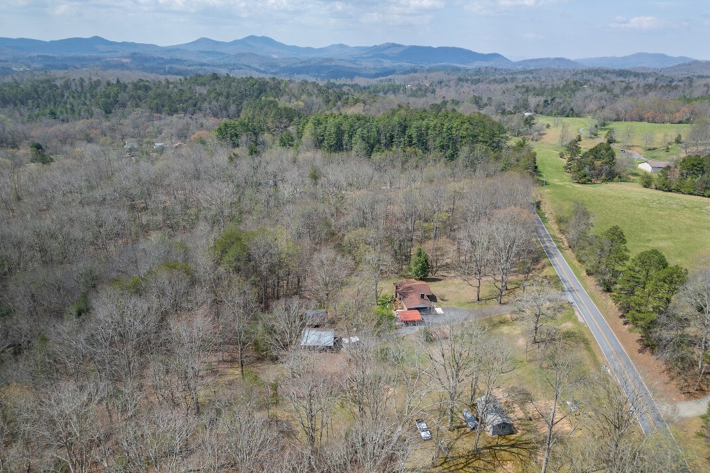 1266 Ford Road Warne, NC 28909 - Photo 59 of 62