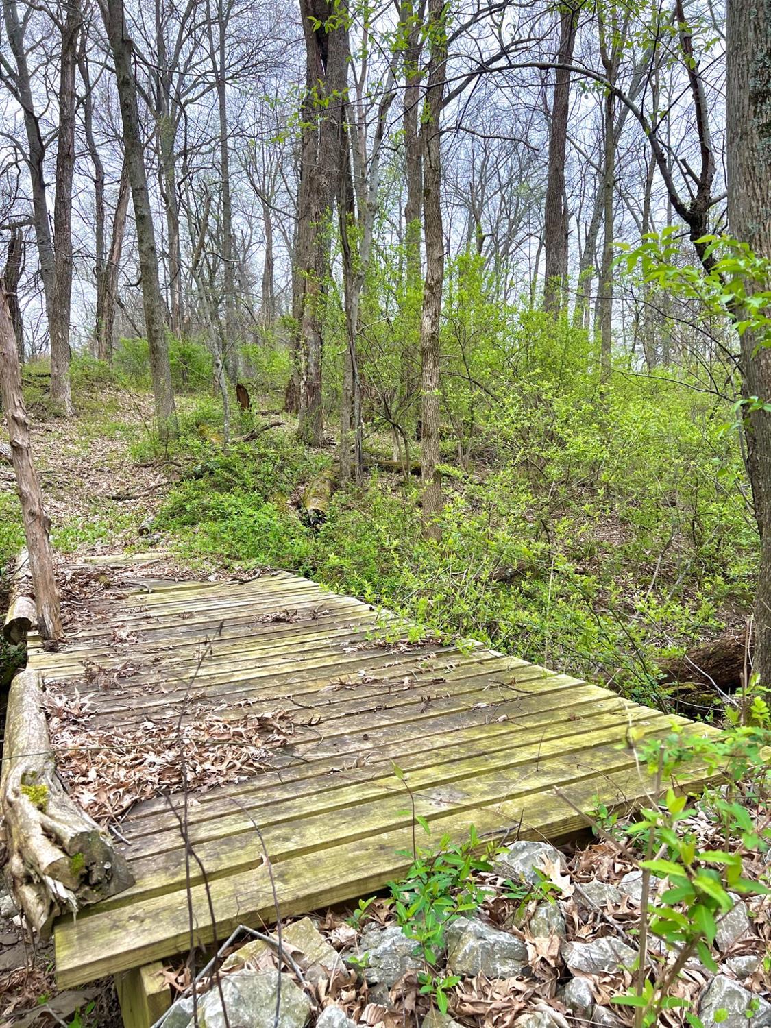 8294 Marks Road Georgetown, OH 45121 - Photo 43 of 96