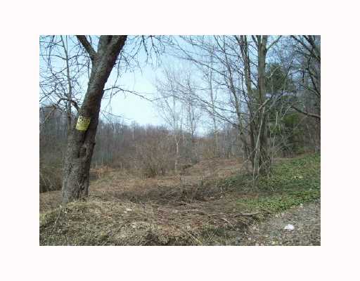 18966 Elgin Road Corry, PA 16407 - Photo 5 of 8 Land/Lot.