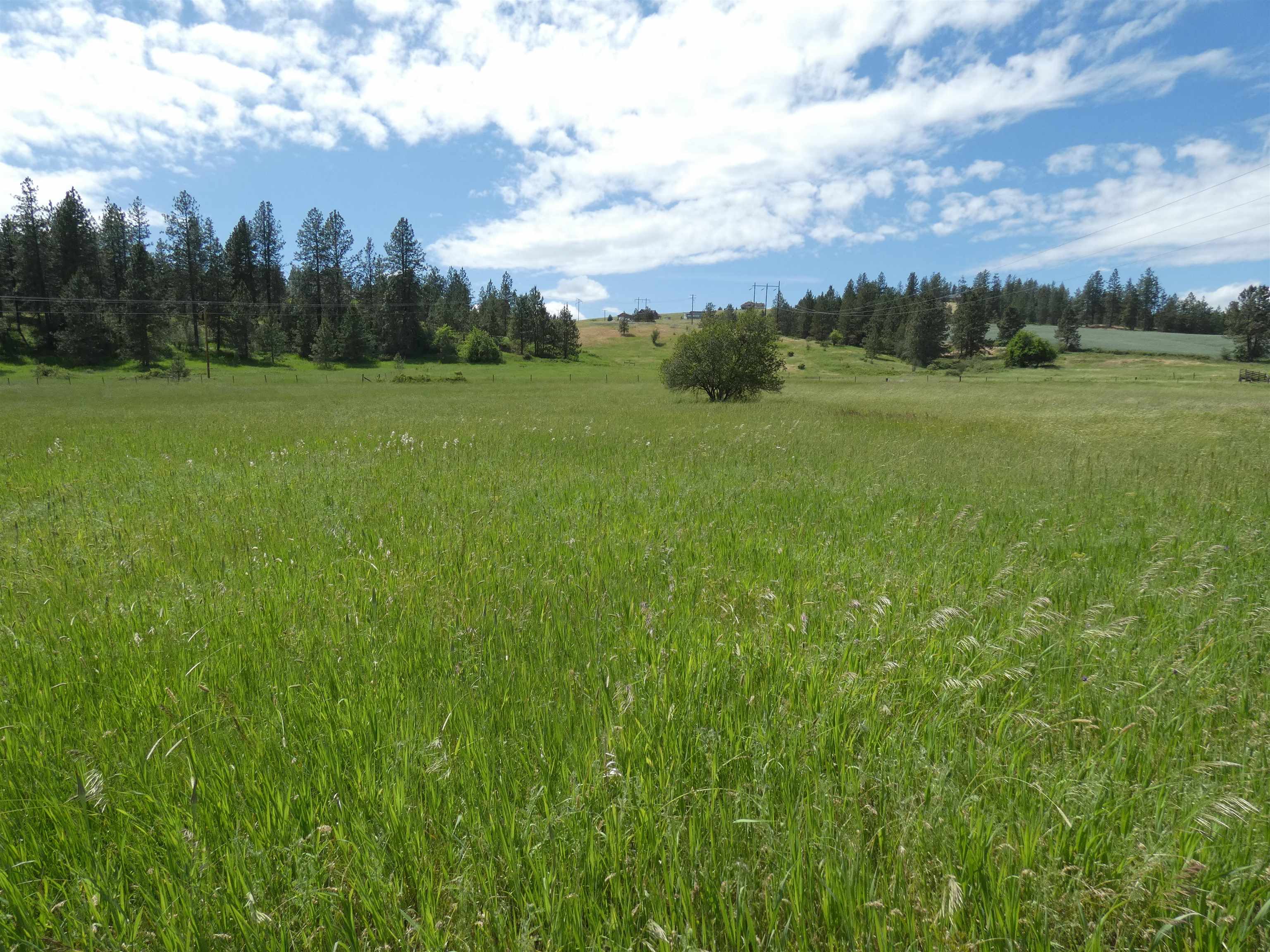 8309 West Jensen Road Cheney, WA 99004 - Photo 3 of 11