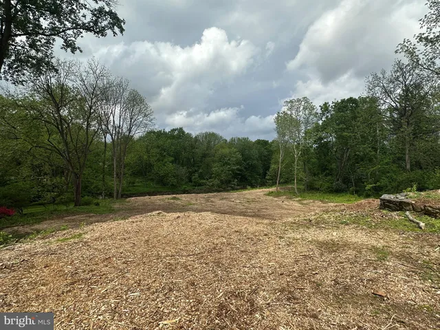 a view of a yard with large trees