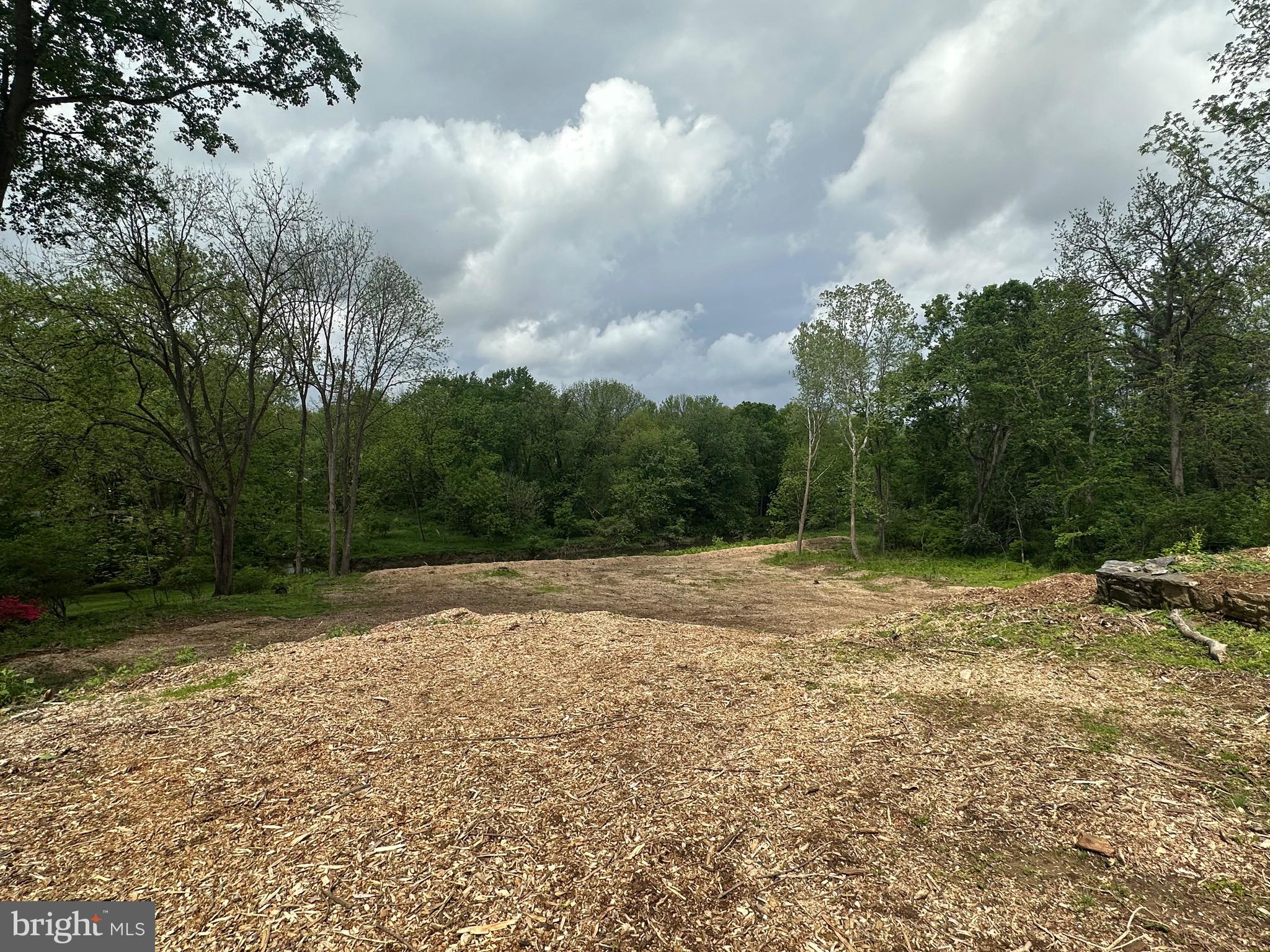 a view of a yard with large trees